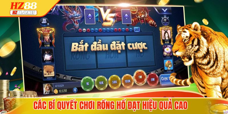 Các bí quyết chơi Rồng Hổ đạt hiệu quả cao